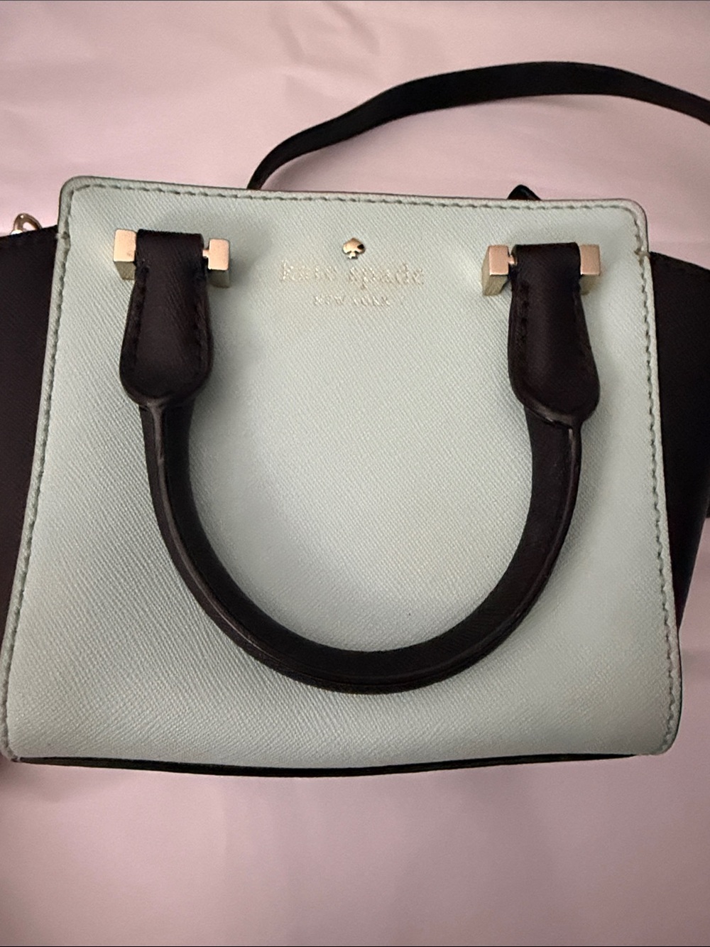 Kate Spade Mint and Black Mini Satchel